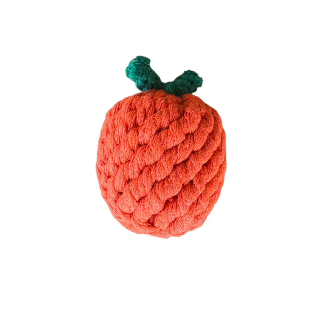 TEETH CLEANING ORANGE