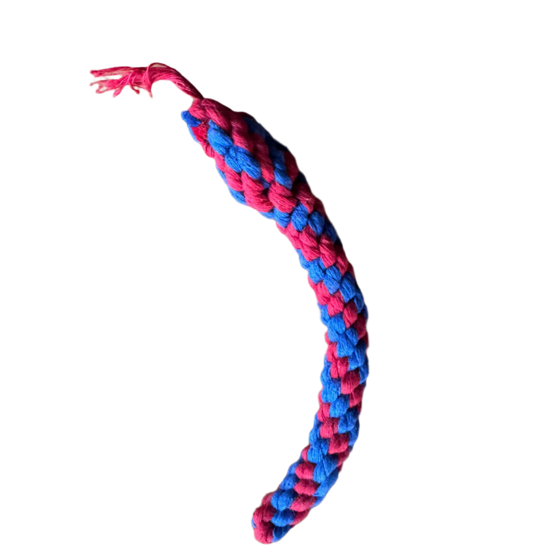 TEETH CLEANING SNAKE - PICK ONE FREE TOY PER ORDER